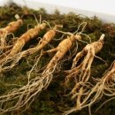 내고향밥집 이미지