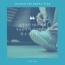 원더플랜