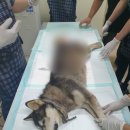 청수동물병원 이미지