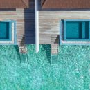 꿈꾸는 별빛영화관( 이미지