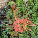 선운산농장 이미지