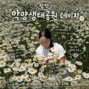 1418 | 함안 악양생태공원 데이지 실시간 후기 🌼 수레국화까지 만개한 5월 경남 꽃명소
