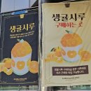 성심당 시루매장 신상 샤인이랑멜론 평일 구매 내돈내산 후기 및 할인 팁