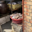 망경장어 이미지