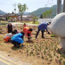 읍내1통 이미지