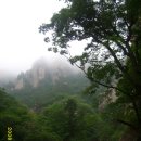 금양주유소 이미지