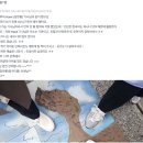 [타이베이] 예스진지 프라이빗 택시 투어 - 가격 예약 방법