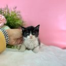 씨사이드모텔2 이미지