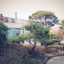 곤지한정식 이미지