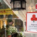 토담플라워
