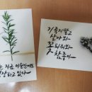 제이플라워팜