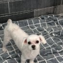 지개동산 이미지