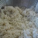 김밥먹기좋은날 이미지