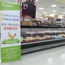 인제양계 이미지