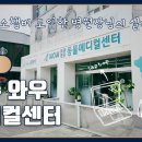 와우동물메디컬센터 이미지