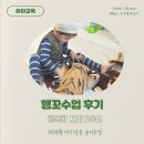 행복한 꼬마 거북이 이미지