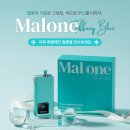 티파니 샵 이미지