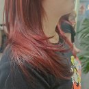 시프헤어 이미지