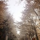 리오모텔 이미지