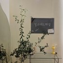 해빛1로 | 체형교정 녹번역 필라테스, 필라테스해빛 녹번본점🌞 지소연 강사 1:1수업 후기 :)