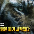 중국 신작 게임들 이미지