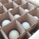 금강초계 네이버블로그