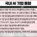 제기31 이미지