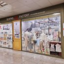 펫의류&펫소품 만들기 이미지