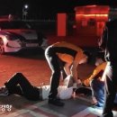 털보두부