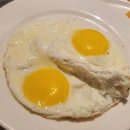 양계장농장 | 🥚🍳 양계장청년 상황버섯 먹여 키운 무항생제 유정란 구매 후기!