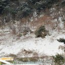 경상북도교육청 울릉도서관 이미지