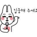 야옹아멍멍해봐(초전점) 이미지