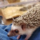 로던트클럽 화정 본점 이미지