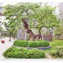 래미안라센트공인중개사사무소 이미지