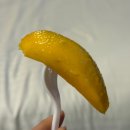 달다 | [세부 과일배달] 한인과일가게 더달다 후기 (카톡주문)