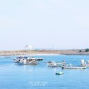청년분식화천산양점 | 충남 보령 여행 3곳 죽도 대천해수욕장 해저터널 어디 갈까
