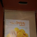 돌돌이 하우스 이미지