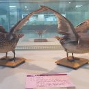 부산해양자연사박물관 이미지