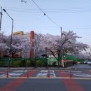 장산초등학교 주변 이미지