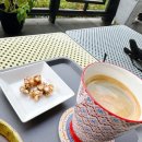 손빚 이미지