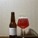 SKETCH(스케치) | [스케치 커피 맥주] Sketch Coffee beer 시음 후기 | 브루어리 304 | 크래프트 비어 추천