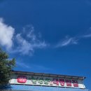 한상근대통밥집 | 담양맛집 한상근 대통밥집 대나무밥 후기