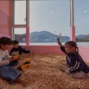 고고펜션 이미지