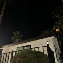 팜트리 빌리지 | [제주 서귀포 숙소]팜트리빌리지 2동 1박 후기(feat.바베큐)