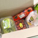 군포농업협동조합 | [군포시] 경기도 가정보육 어린이 건강과일 지원사업...꾸러미 받은 생생 후기! (feat. 신청 조건, 신청...