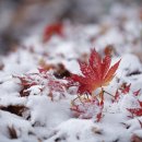 (주)메디휴 이미지