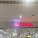 피트인 | 다이소 롯데피트인 산본 다녀온 후기 식물·꽃다발 재료 가성비 쇼핑 추천