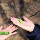 숲노리누리협동조합