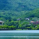 완도수목원 이미지