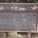 강원산소 이미지